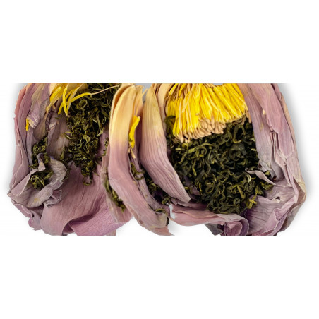 Fleur de Lotus : thé vert